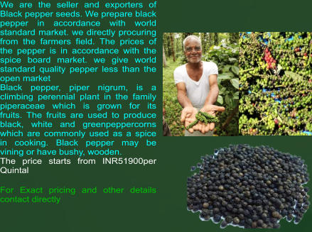We are the seller and exporters of Black pepper seeds. We prepare black pepper in accordance with world standard market. we directly procuring  from the farmers field. The prices of the pepper is in accordance with the spice board market. we give world standard quality pepper less than the  open market Black pepper, piper nigrum, is a climbing perennial plant in the family piperaceae which is grown for its fruits. The fruits are used to produce black, white and greenpeppercorns which are commonly used as a spice in cooking. Black pepper may be vining or have bushy, wooden.  The price starts from INR51900per Quintal  For Exact pricing and other details contact directly
